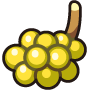 嘉珍果