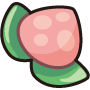 桃桃果