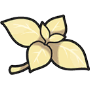 香草调味料